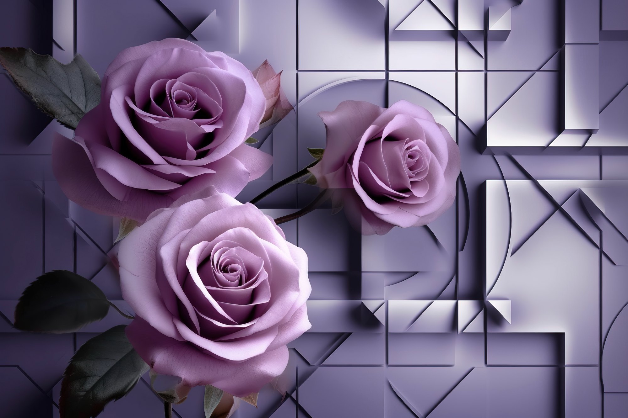 Wallpaper:7-Sxouolxpg= Rose:Ropivo3dhyk= Flowers